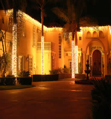 Neighborhood Wonderland