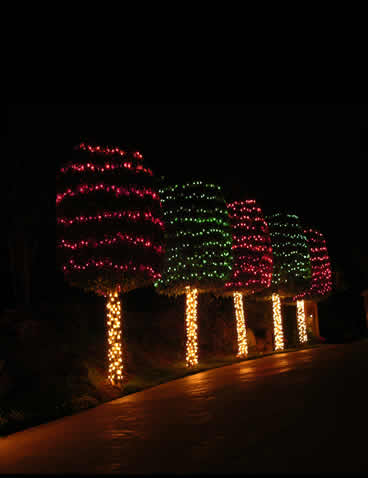 Christmas Light Show