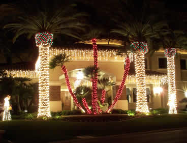 Community Festival Lights