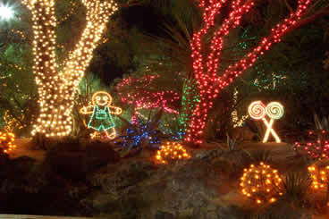 Modern Holiday Decor